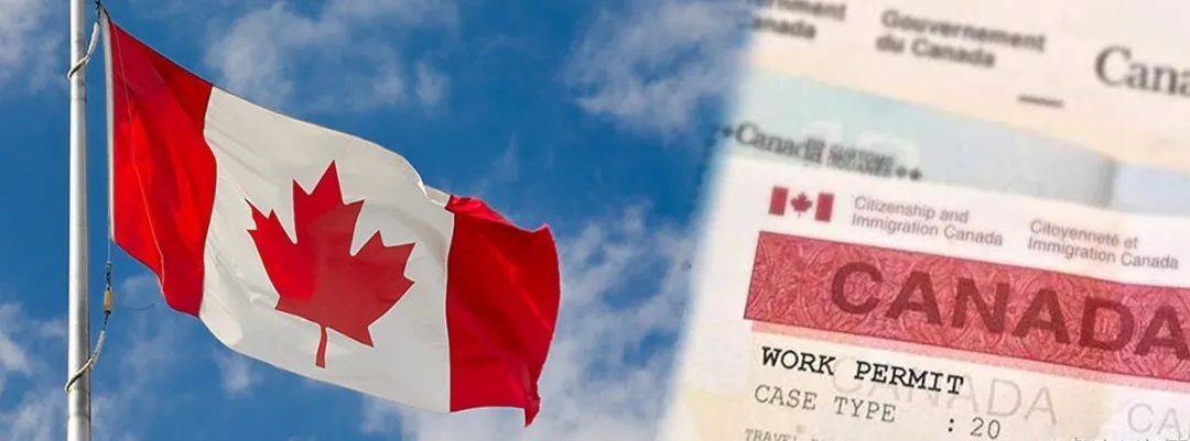 2022-2023年加拿大留学生最新政策详细解读！都是留学生利