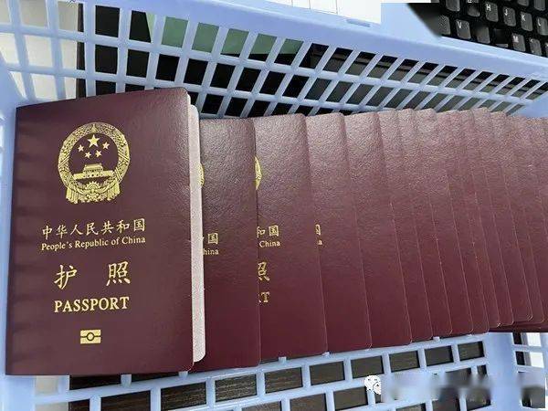 在美国留学如何补办护照？