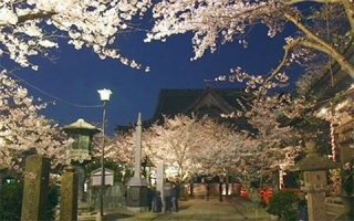 日本留学签证材料有哪些?